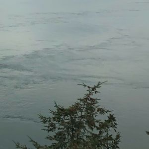 Meet your Posher, Trevor